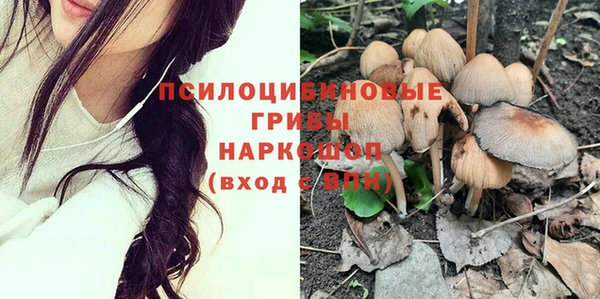 тгк Дрезна